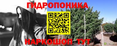 МДПВ Лесосибирск