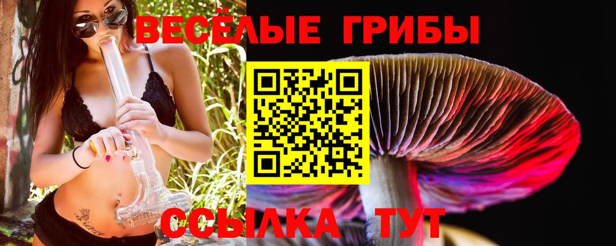 Псилоцибиновые грибы Magic Shrooms  Вход с VPN  Кашира  Псилоцибиновые грибы ЛСД 
