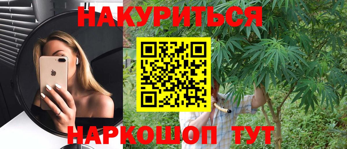 Конопля планчик  МАРИХУАНА MAZAR  Марихуана семена  Кашира  Вход с VPN 